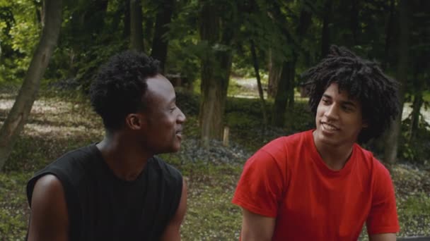 2人の幸せなアフリカの男性の友人が屋外で一緒に過ごす時間を話す — ストック動画