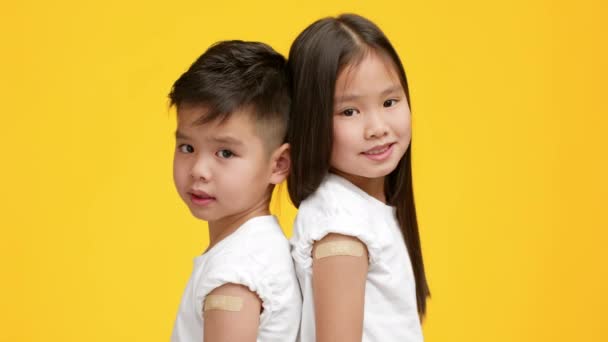 Vacinado pouco asiático menino e menina mostrando braços, fundo amarelo — Vídeo de Stock