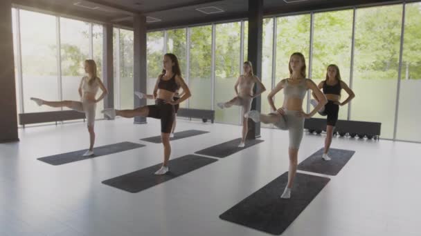 Allenamento di danza. Gruppo di giovani ballerine professioniste che scaldano le gambe, esercitandosi insieme nello studio di coreografia — Video Stock