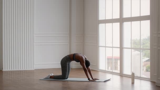 Flexibele zwarte vrouw in sportkleding strekken haar rug tijdens de training thuis — Stockvideo