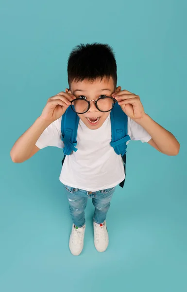 Studienangebot. Lustige koreanische Schuljunge tragen Brille Blick auf Kamera mit Aufregung — Stockfoto