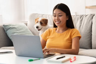 Güzel Asyalı bayan öğrenci evcil hayvanıyla ödev yapıyor.