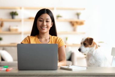 İş arayan mutlu Japon kadın, yanında oturan sevimli köpek yavrusu.