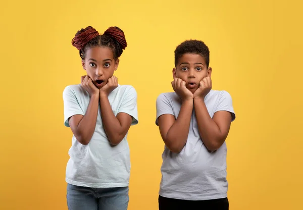 Chockad svart bror och syster tittar på kameran — Stockfoto