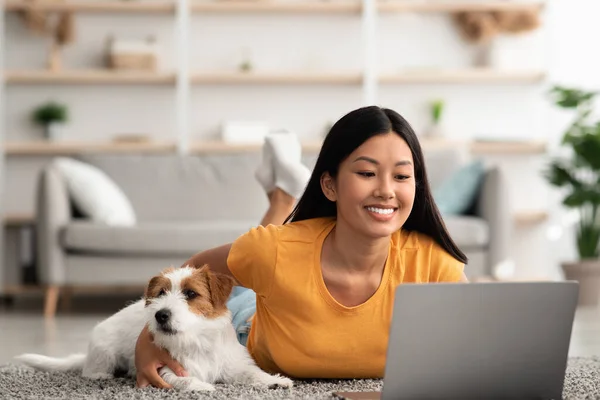 Lindo perro que enfría por su dueño femenino usando el ordenador portátil — Foto de Stock