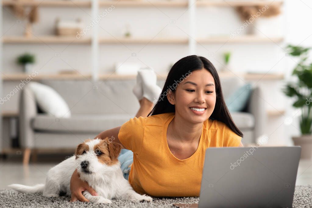 Cute dog chilling by its female owner using laptop