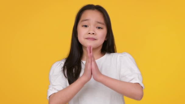 求求你，求求你可爱的亚洲小女孩乞讨和恳求相机的工作室肖像，要求的东西 — 图库视频影像