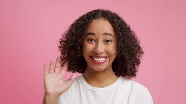 Alegre negro joven dama saludando mano sobre rosa estudio fondo — Vídeos de Stock