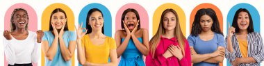 Oldukça çeşitli genç dişiler farklı duygular ifade ederler ve renkli arka plandaki kameraya bakarlar, panorama
