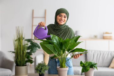 Sıcak bir ev ortamı. Genç Arap kadın tesettürlü ev bitkileriyle ilgileniyor, evde barışçıl bir hobisi var.