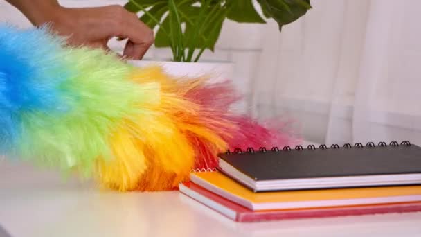 Spring cleaning concept. Close up shot of unrecognizable woman maiden wiping dust with colorful brush — Stock Video