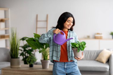 Oturma odasında çiçekleri sulayan genç, güzel bir Arap kadın. Bahçe işleri, rahat ev atmoshpere konsepti