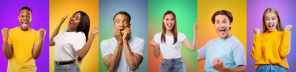 Conjunto de feliz emocional diversas pessoas homens e mulheres apertando punhos, celebrando o sucesso em fundos gradiente — Fotografia de Stock