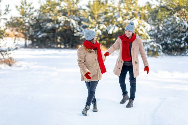 Para spędzająca śnieżny dzień w parku, panorama z przestrzenią do kopiowania — Zdjęcie stockowe