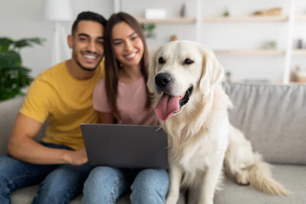 Couple international millénaire positif assis sur le canapé avec leur chien, en utilisant un ordinateur portable pour la communication en ligne à la maison — Photo