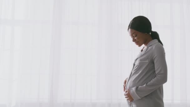 Side view portrait of happy calm pregnant lady wearing pajamas caressing her big belly, standing near window at home — 비디오