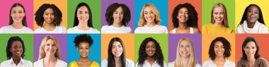 Young multiracial women smiling over studio backgrounds, set of portraits