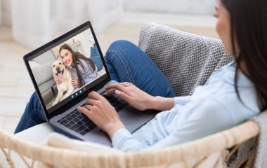 Online Call. Young Woman Using Laptop For Web Conference With Female Friend