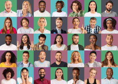 Portraits of multiracial men and women posing, showing different emotions, looking at camera on colorful backgrounds