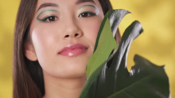 Cuidado com a pele e beleza. Mulher asiática bonita com pele lisa e maquiagem criativa acariciando seu rosto com folha monstera — Vídeo de Stock