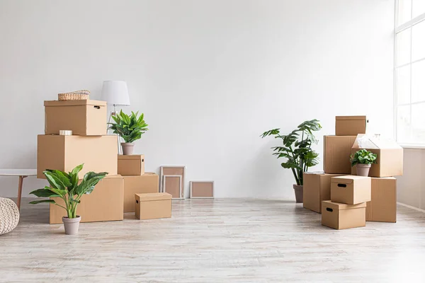 A lot of cardboard boxes with stuff and plants on floor in room with window without furniture in morning