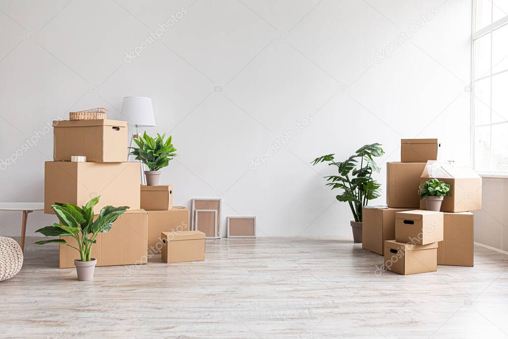 A lot of cardboard boxes with stuff and plants on floor in room with window without furniture in morning