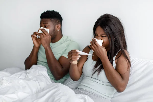 Sedih Afrika muda suami dan istri meniup hidung di serbet dan melihat termometer di tempat tidur di kamar tidur — Stok Foto