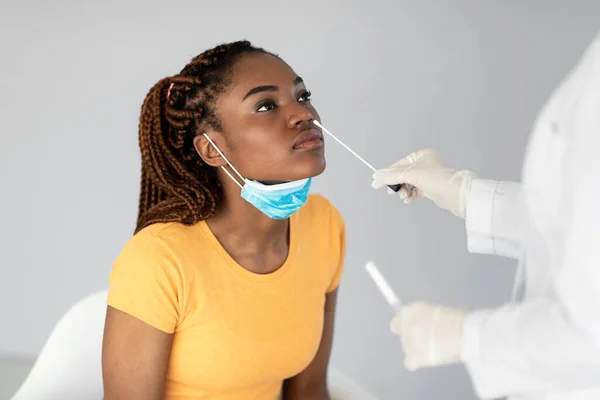 Молода чорна жінка отримує тест на назальний коронавірус на сірому фоні студії. Охорона здоров'я, медицина, нові норми — стокове фото