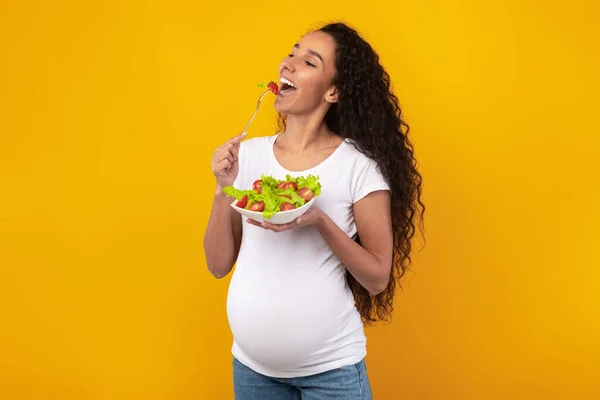 Porträtt av leende gravid dam innehav tallrik med sallad — Stockfoto