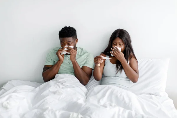 Infeliz milenial negro dama y chico soplar nariz en servilleta mirar termómetro, sufren de fiebre en la cama blanca —  Fotos de Stock