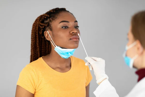 Mujer negra milenaria haciendo una prueba de hisopo nasal covid-19 sobre fondo gris de estudio. Concepto de protección de enfermedades virales — Foto de Stock