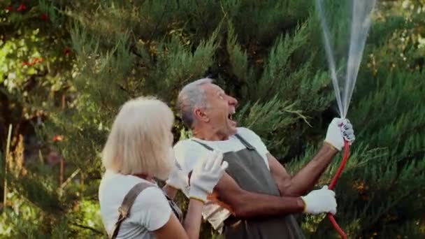 Alegre pareja mayor divertirse en el jardín, jugando con manguera de agua al aire libre — Vídeos de Stock