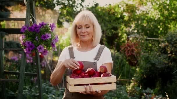 Felnőtt nő kezében fadoboz tele almákkal, miközben áll a gyümölcsösben — Stock videók
