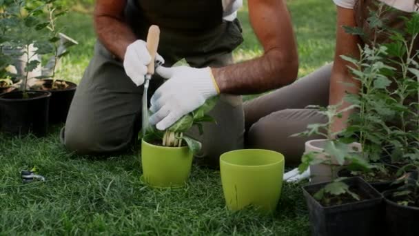 Primer plano de pareja mayor usando herramientas de jardinería para replantar plantas en maceta — Vídeo de stock