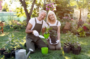Mutlu, olgun bir çift birlikte çiçek naklediyor ve bahçelerini düzenliyor.