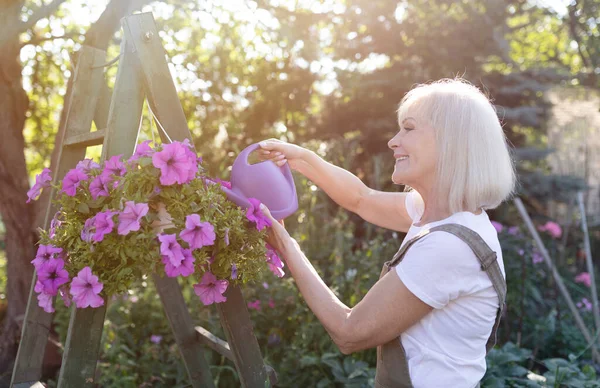 Mutlu son sınıf hanımefendileri asılmış saksılarda çiçekleri suluyor, kendi yaz bahçesinde bahçe işlerinin keyfini çıkarıyor. — Stok fotoğraf