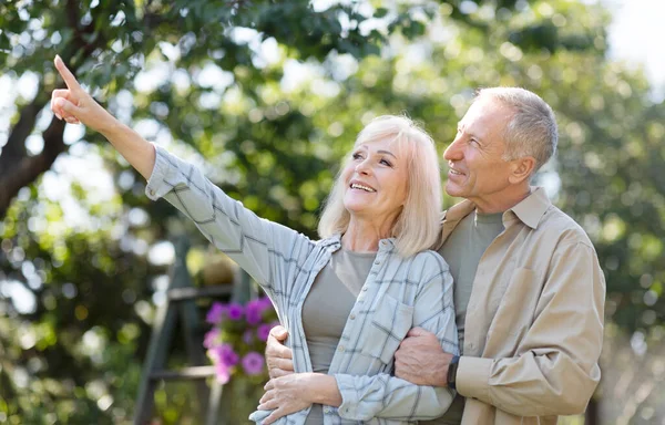 Szczęśliwa para emerytów ciesząca się czasem spędzonym razem w ogrodzie, spacerując wiosną, obejmując się i pokazując coś — Zdjęcie stockowe