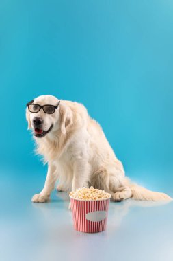 Patlamış mısırlı film izleyen sevimli sağlıklı köpek portresi.