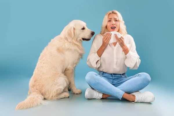 Dierlijke allergie concept. Niesende vrouw, last van neusverstopping — Stockfoto