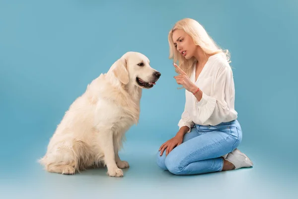 Mulher irritada repreendendo seu cão no estúdio azul — Fotografia de Stock