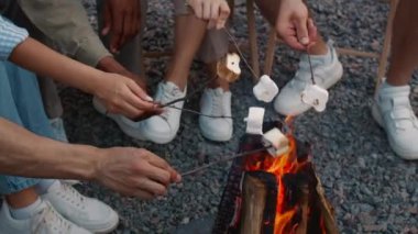 Bir grup insan şenlik ateşinin etrafında oturur ve marshmallow kızartırlar.