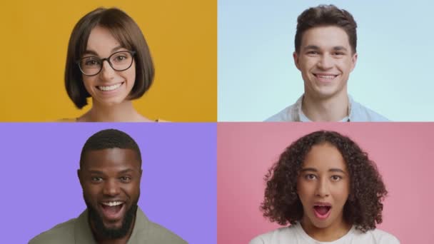 Collage de jóvenes feliz multiétnicos hombres y mujeres riendo sobre fondo colorido, expresando positividad, cámara lenta — Vídeo de stock