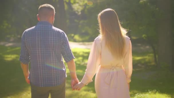 Обратный вид счастливой пары в любви, держась за руки и гуляя в парке, наслаждаясь летом вместе, солнечная вспышка, отслеживающий выстрел — стоковое видео