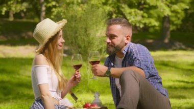 Sevgi dolu bir adam ve kadın kırmızı şarap ve içkiyle çakışıyor, yaz parkında pikniği kutluyorlar.,