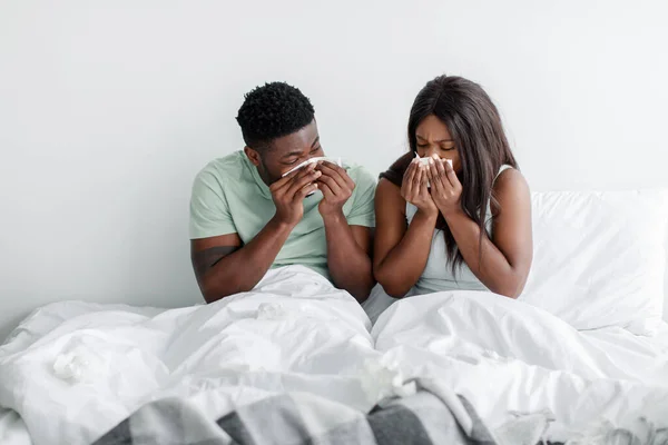 Mutsuz, üzgün, Afro-Amerikan kadın ve erkek, burunlarını peçetelere sümkürürler ve hasta yatarlar. — Stok fotoğraf