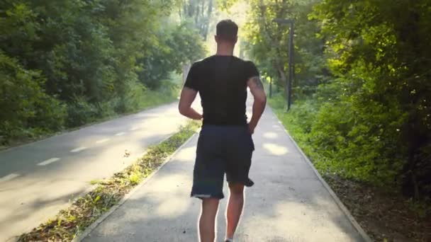 Vista trasera de un joven musculoso activo corriendo por la mañana, corriendo por el camino en el parque verde, resplandor solar — Vídeo de stock