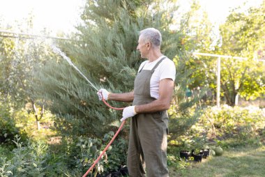 Tanınmayan erkek bahçıvan bahçedeki bitkileri plastik hortumla suluyor, çalılarla, ağaçlarla ilgileniyor.