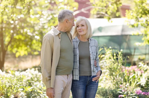 Amor y romance en el concepto de la tercera edad. Amar a los cónyuges mayores abrazándose y sonriéndose en su jardín —  Fotos de Stock