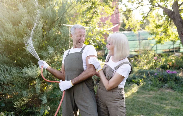 Игривые старшие супруги веселятся, поливая растения из шланга, садоводя вместе во дворе — стоковое фото