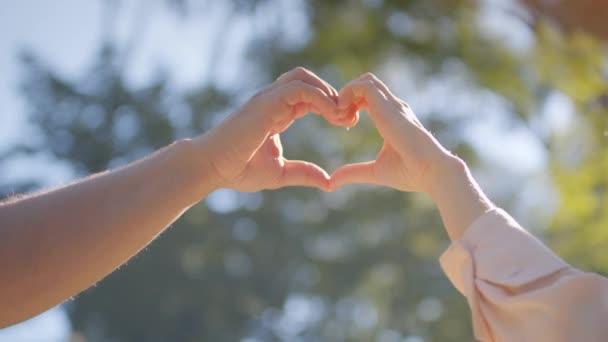 Kärlek och tillgivenhet symbol. Närbild bild bild av kärleksfull man och kvinna gör hjärta gest, ansluta händerna tillsammans — Stockvideo